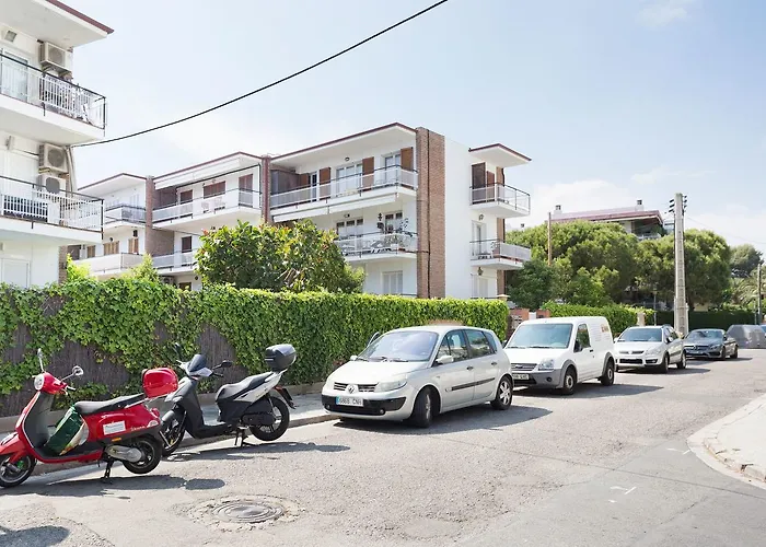 U-nique * סיטגס